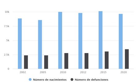 Estadísticas vitales – Nacimientos y Defunciones Regional 2002-2020