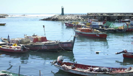 Programa Administracion y Gestion Obras Portuarias Caleta Antofagasta