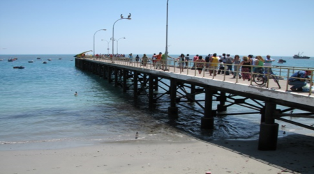 Acta de Constitución del Consejo de Administración de Caleta Mejillones