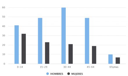 Demografía Ollagüe 2010 Sexo/Edad