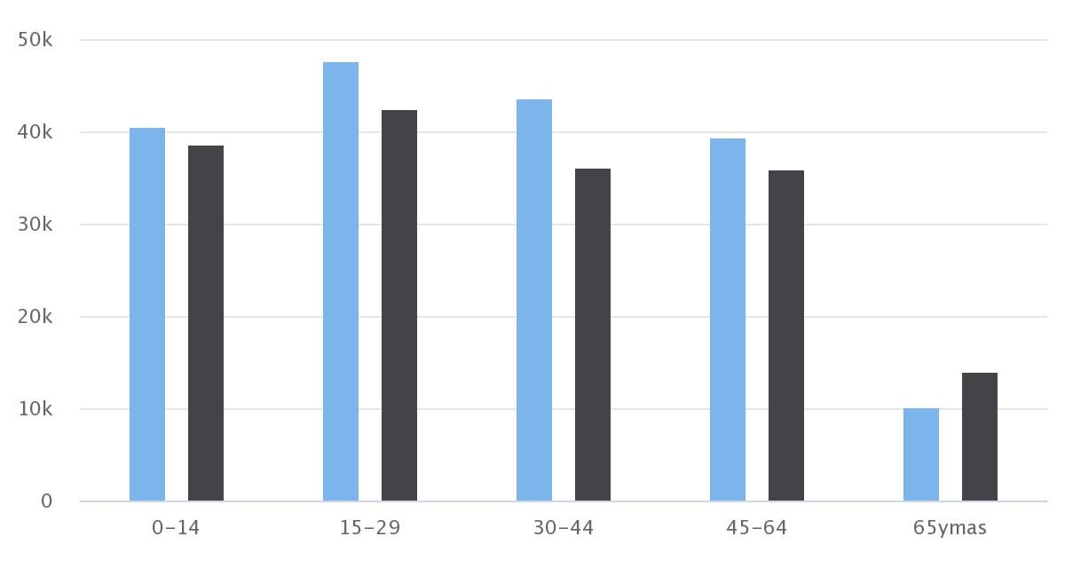 Demografía Antofagasta 2010 Sexo/Edad