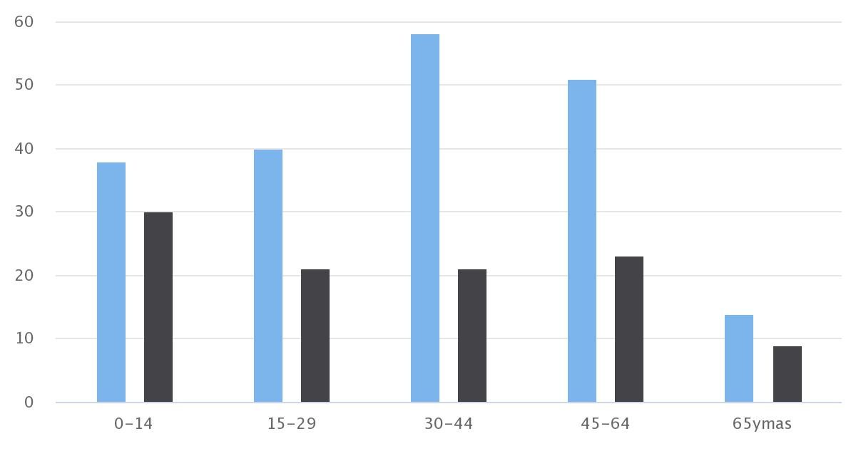 Demografía Ollagüe 2020 Sexo/Edad