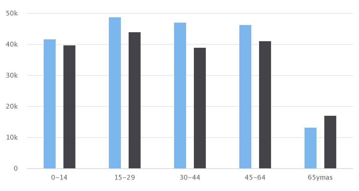 Demografía Antofagasta 2015 Sexo/Edad