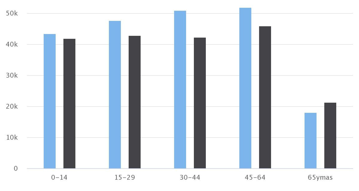 Demografía Antofagasta 2020 Sexo/Edad