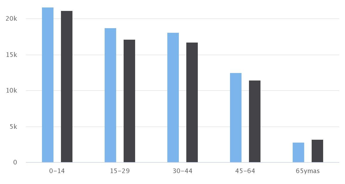 Demografía Calama 2002 Sexo/Edad