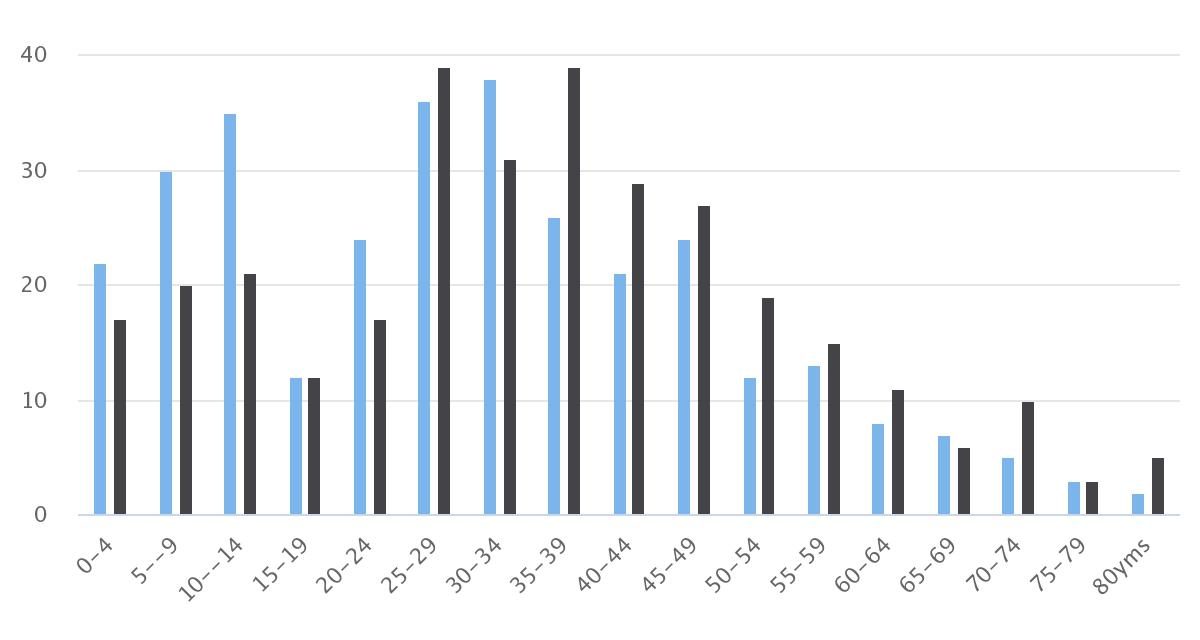 Distribución Etaria Comuna de Ollagüe 2002, 2017