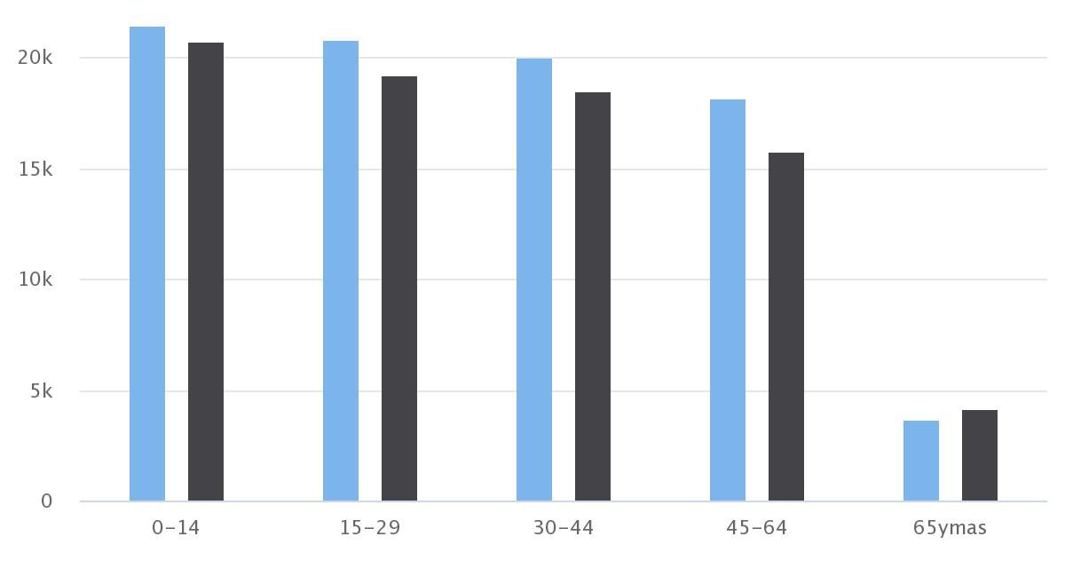 Demografía Calama 2010 Sexo/Edad