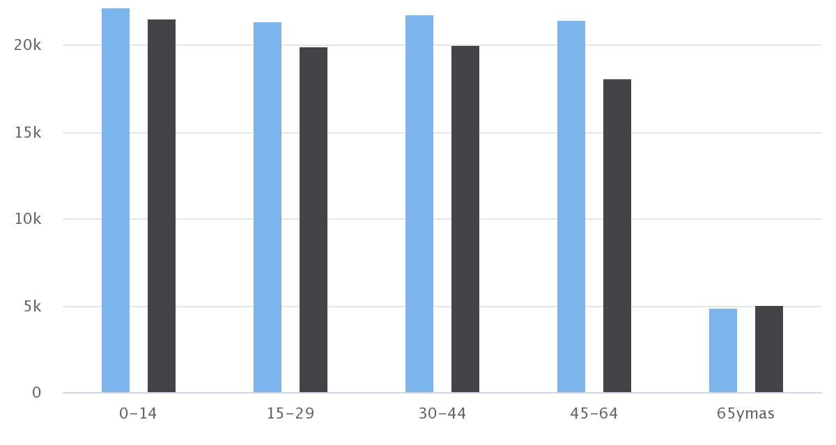 Demografía Calama 2015 Sexo/Edad