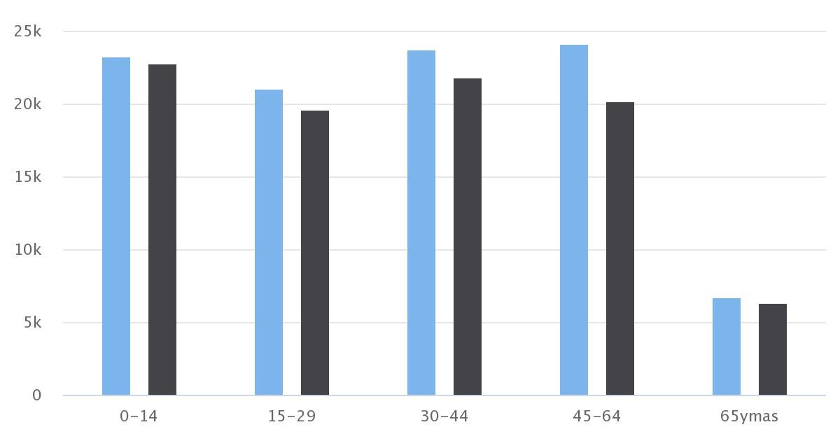 Demografía Calama 2020 Sexo/Edad