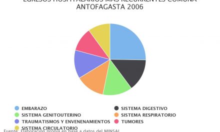 Egresos hospitalarios más recurrentes comuna Antofagasta 2006