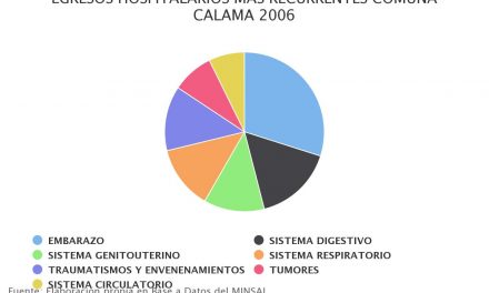 Egresos hospitalarios más recurrentes comuna Calama 2006