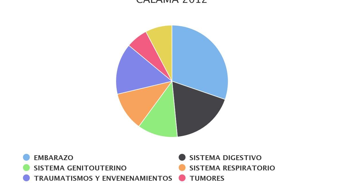 Egresos hospitalarios más recurrentes comuna Calama 2012