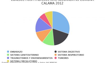 Egresos hospitalarios más recurrentes comuna Calama 2012