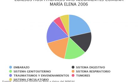 Egresos hospitalarios más recurrentes comuna María Elena 2006