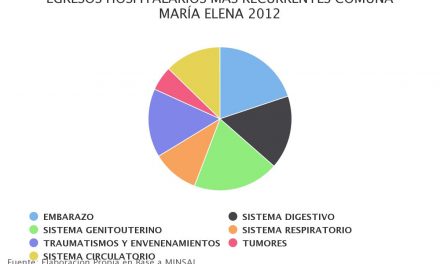 Egresos hospitalarios más recurrentes comuna María Elena 2012