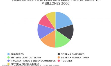Egresos hospitalarios más recurrentes comuna Mejillones 2006
