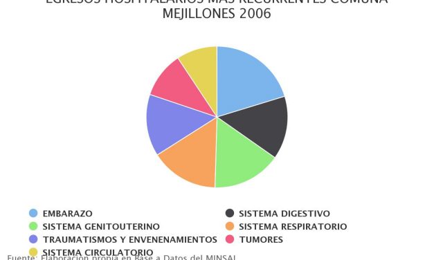 Egresos hospitalarios más recurrentes comuna Mejillones 2006