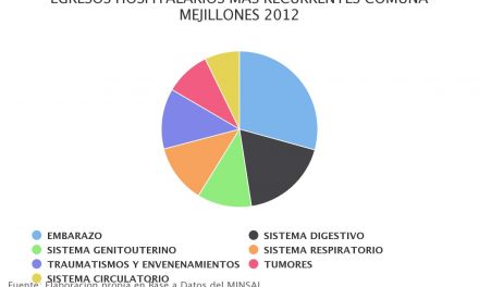 Egresos hospitalarios más recurrentes comuna Mejillones 2012