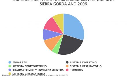 Egresos hospitalarios más recurrentes comuna Sierra Gorda 2006