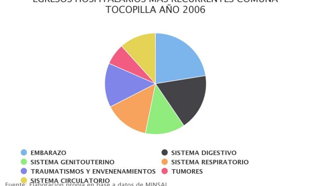 Egresos hospitalarios más recurrentes comuna Tocopilla 2006