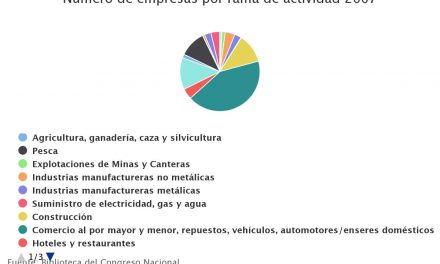 Número de empresas por rama de actividad 2007