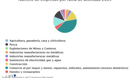 Número de empresas por rama de actividad 2009