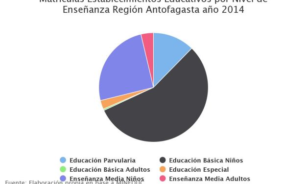 Matrículas Establecimientos Educativos por Nivel de Enseñanza Región Antofagasta año 2014