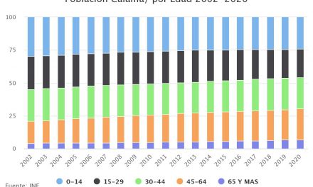 Población Calama/ por Edad 2002-2020