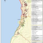 ACTUALIZACIÓN MES DE OCTUBRE OLLAS COMUNES ANTOFAGASTA